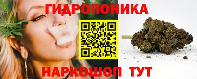ALPHA PVP Камышлов
